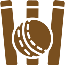 Cricket Pitch