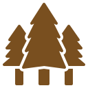 Avenue Planting