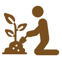 Planting Bed
